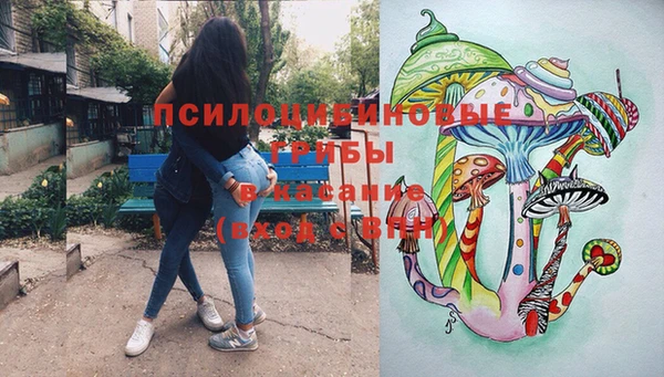марки lsd Богородицк